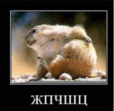 13.jpg (86.03 КБ) 4614 просмотров 13.jpg