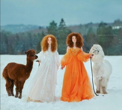 15.jpg (64.03 КБ) 4444 просмотра 15.jpg