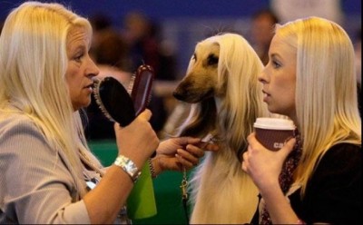 18.jpg (64.18 КБ) 4444 просмотра 18.jpg