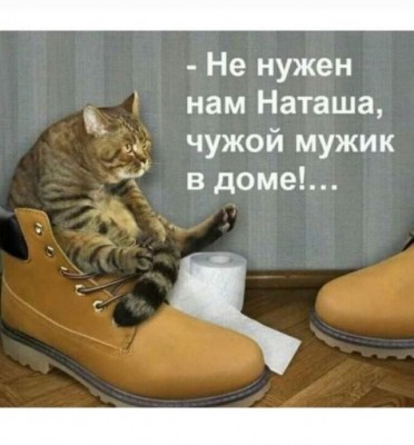 17.jpg (74.8 КБ) 4316 просмотров 17.jpg