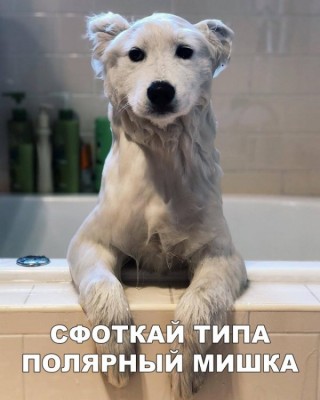 11.jpg (64.34 КБ) 4255 просмотров 11.jpg