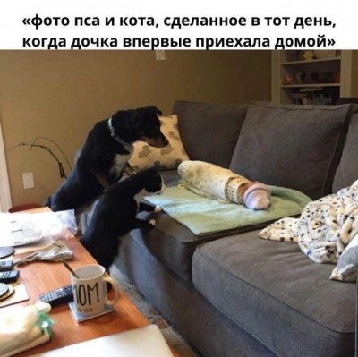 14.jpg (84.36 КБ) 4148 просмотров 14.jpg