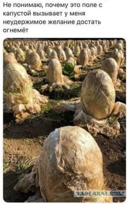 15.jpg (109.37 КБ) 7028 просмотров 15.jpg