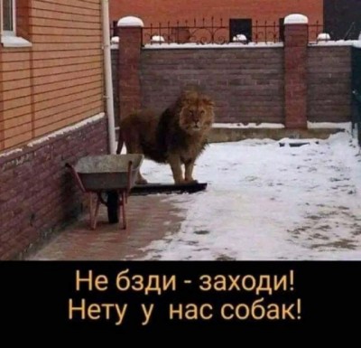 14.jpg (79.51 КБ) 6851 просмотр 14.jpg