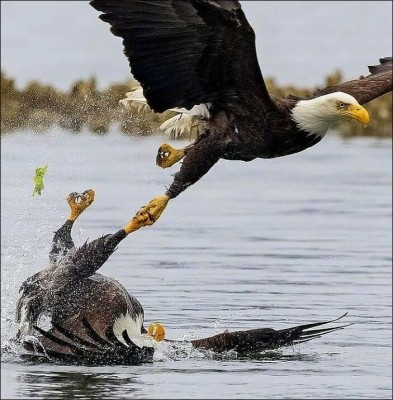 15.jpg (104.12 КБ) 7230 просмотров 15.jpg