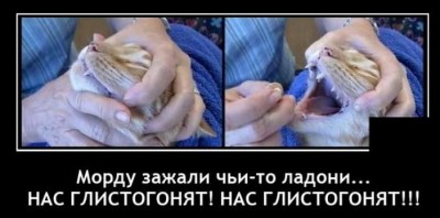 11.jpg (70.9 КБ) 6598 просмотров 11.jpg