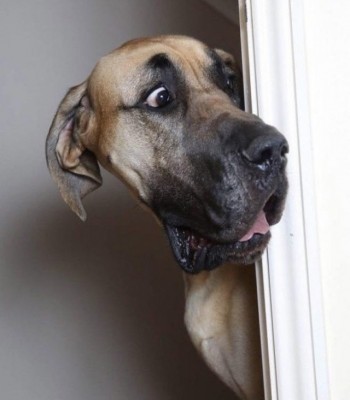 14.jpg (65.89 КБ) 6669 просмотров 14.jpg