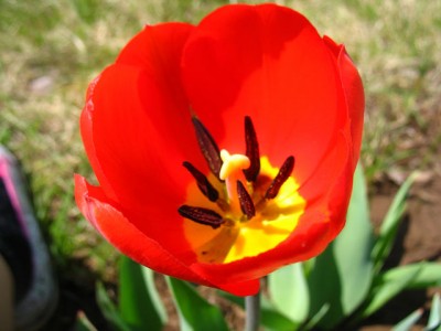 getImage.jpeg (51.58 КБ) 823 просмотра getImage.jpeg