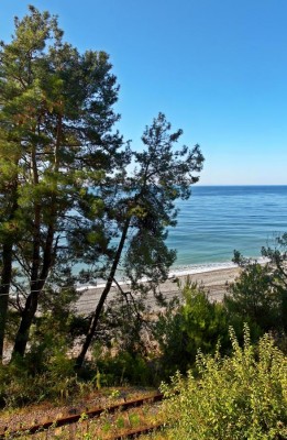 3.jpg (451.79 КБ) 2790 просмотров 3.jpg