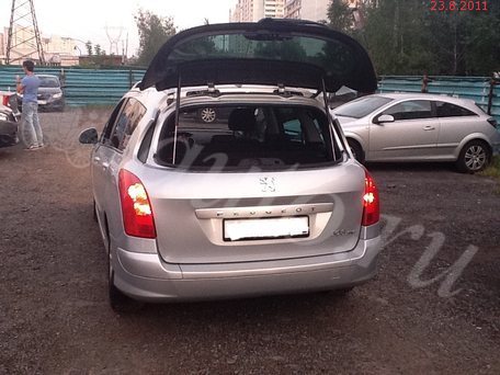 54169010.jpg