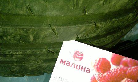 IMAG0408.jpg
