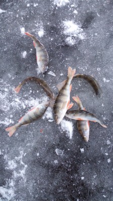 IMG-1416919081322-V.jpg (1.06 МБ) 1072 просмотра IMG-1416919081322-V.jpg