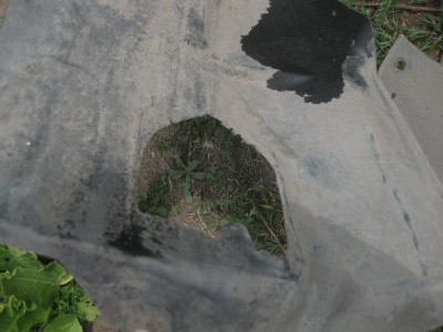 IMG_9781.JPG (986.83 КБ) 1099 просмотров IMG_9781.JPG