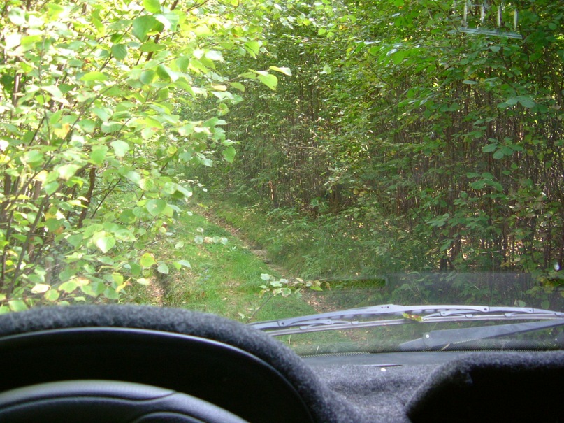 y_23630361.jpg