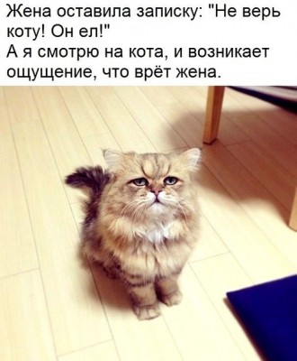 16.jpg (96.23 КБ) 2078 просмотров 16.jpg