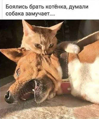 16.jpg (89.33 КБ) 2042 просмотра 16.jpg