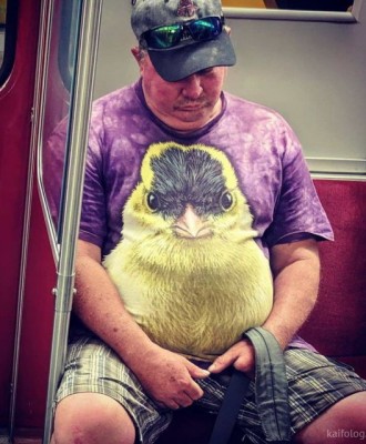 11.jpg (129.9 КБ) 2799 просмотров 11.jpg