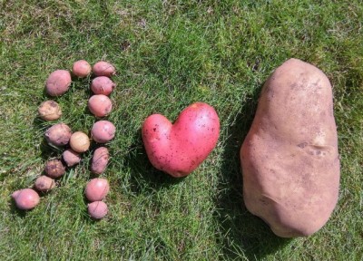 11.jpg (201.33 КБ) 2680 просмотров 11.jpg