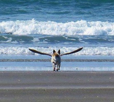 12.jpg (72.61 КБ) 2126 просмотров 12.jpg