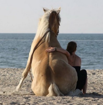 13.jpg (68.29 КБ) 2093 просмотра 13.jpg