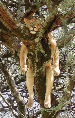 11.jpg (173.62 КБ) 1996 просмотров 11.jpg