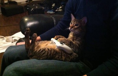 12.jpg (25.76 КБ) 1995 просмотров 12.jpg