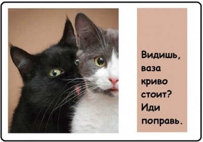 12.jpg (69.09 КБ) 2467 просмотров 12.jpg