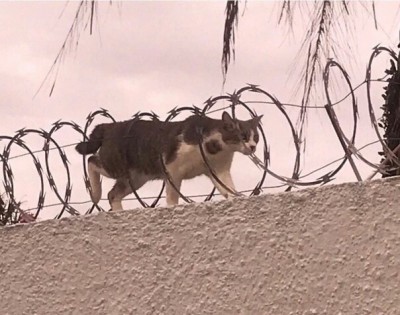 17.jpg (130.72 КБ) 2410 просмотров 17.jpg