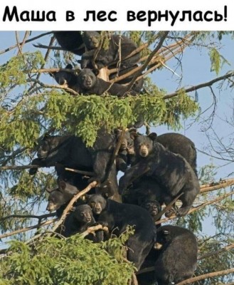 16.jpg (169.87 КБ) 2410 просмотров 16.jpg