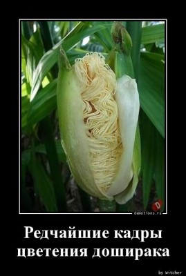 15.jpg (53.35 КБ) 2409 просмотров 15.jpg