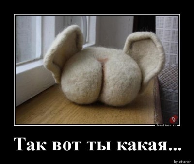 14.jpg (47.52 КБ) 2409 просмотров 14.jpg