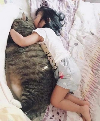 11.jpg (128.19 КБ) 2312 просмотров 11.jpg