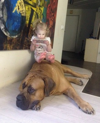 13.jpg (105.78 КБ) 2235 просмотров 13.jpg