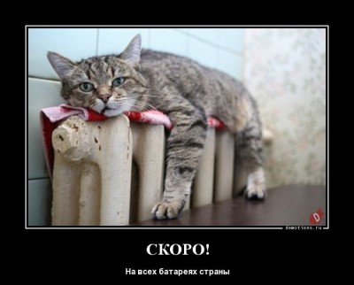 14.jpg (44.19 КБ) 2209 просмотров 14.jpg