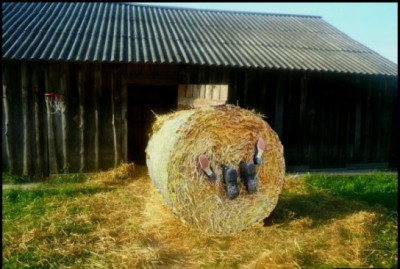 14.jpg (90.28 КБ) 2288 просмотров 14.jpg