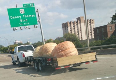 11.jpg (48.73 КБ) 2140 просмотров 11.jpg