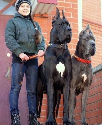 14.jpg (64.22 КБ) 2088 просмотров 14.jpg