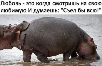 17.jpg (42.39 КБ) 1927 просмотров 17.jpg