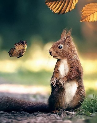 12.jpg (198.22 КБ) 2699 просмотров 12.jpg