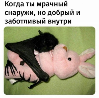 15.jpg (62.74 КБ) 2699 просмотров 15.jpg