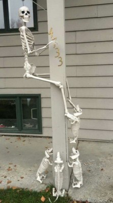 11.jpg (124.64 КБ) 2589 просмотров 11.jpg