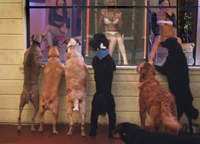 15.jpg (71.19 КБ) 2421 просмотр 15.jpg