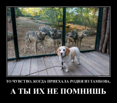 19.jpg (101.49 КБ) 2348 просмотров 19.jpg