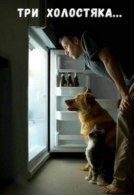 11.jpg (87.58 КБ) 2224 просмотра 11.jpg