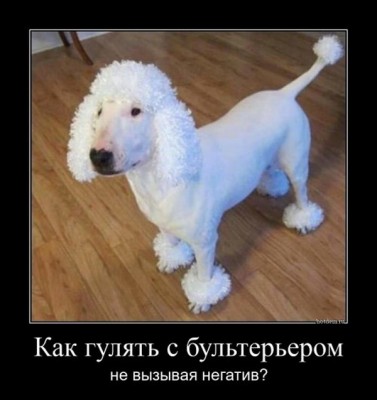 15.jpg (81.15 КБ) 2224 просмотра 15.jpg