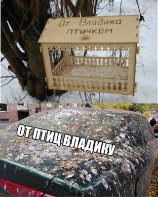 13.jpg (124.99 КБ) 2224 просмотра 13.jpg