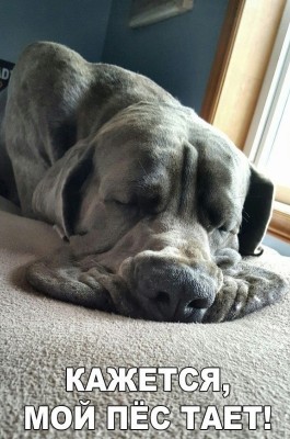 16.jpg (177.14 КБ) 2360 просмотров 16.jpg