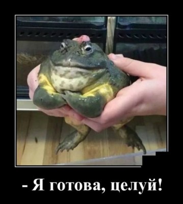 12.jpg (71.79 КБ) 2339 просмотров 12.jpg