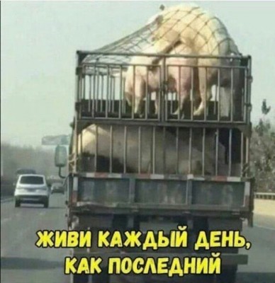 14.jpg (57.24 КБ) 2119 просмотров 14.jpg