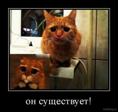 14.jpg (57.21 КБ) 2141 просмотр 14.jpg